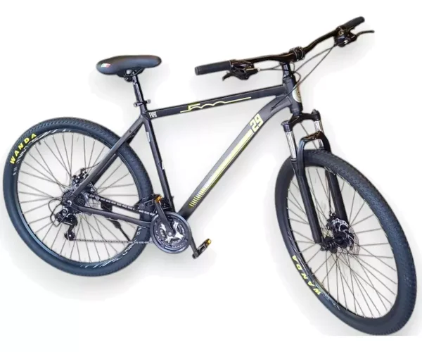 Bicicleta Fiat Rodado 29