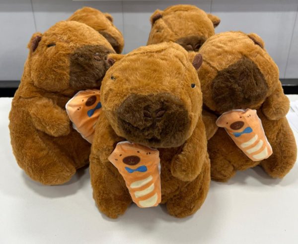 PELUCHE CAPYBARA 22CM BALA05 ZANAHORIA