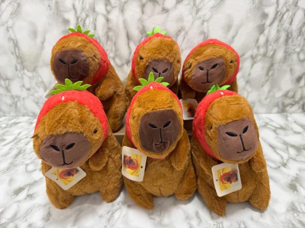 PELUCHE CAPYBARA 23CM BALA01 FRUTILLA - Imagen 2