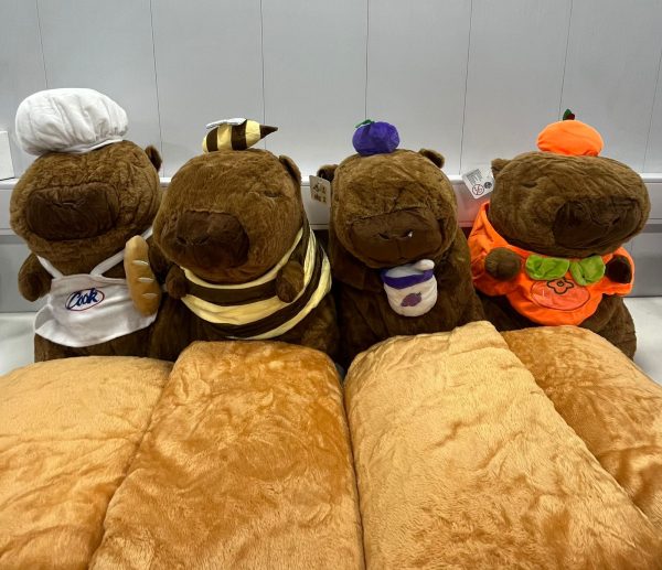 PELUCHE CAPYBARA BALA06 C/MANTA - Imagen 2